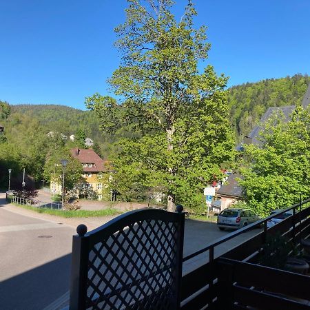 Haus Sonne Daire Todtmoos Dış mekan fotoğraf