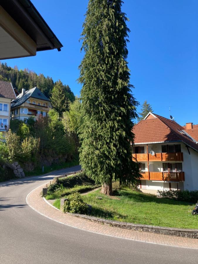 Haus Sonne Daire Todtmoos Dış mekan fotoğraf